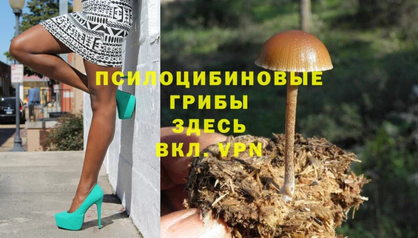 ALPHA PVP Майский