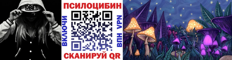 Галлюциногенные грибы Cubensis  купить  цена  OMG tor  Малмыж 